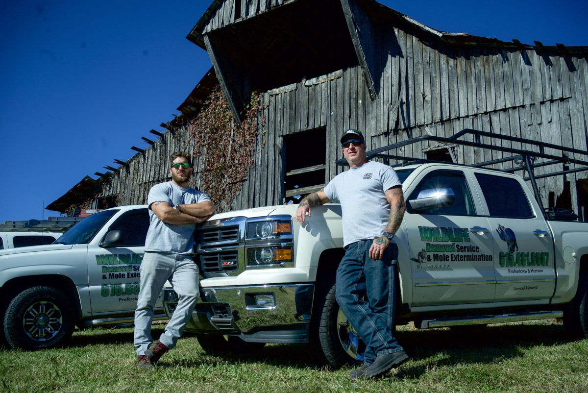 Wild Things Wildlife Removal Animal Removal Service